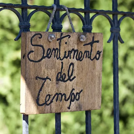 Sentimento Del Tempo Viterbo