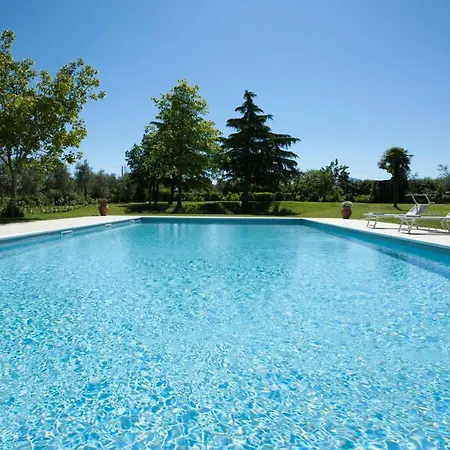 Sentimento Del Tempo Viterbo